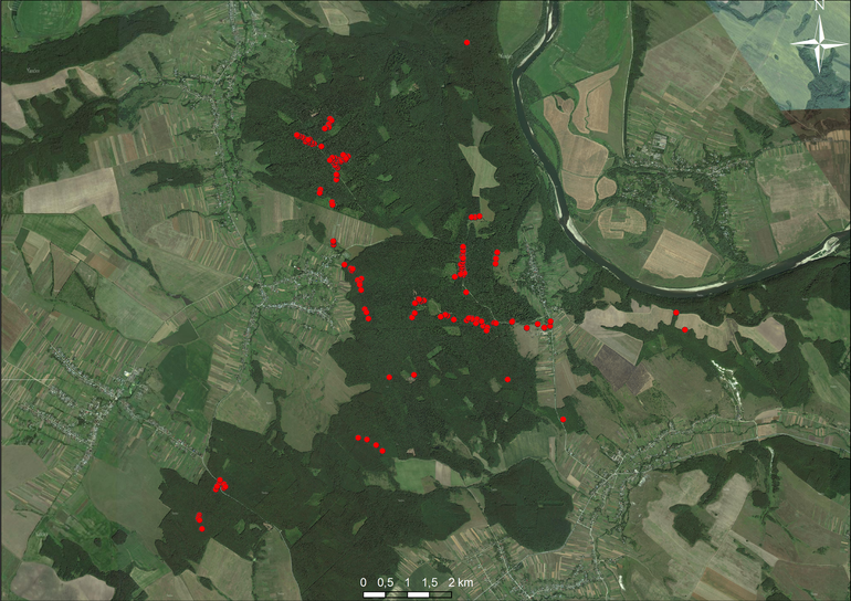 Bukówna/Bukivna, Bukówna/Bukivna-Olszanica/Vilshanitsa i Bukówna/Bukivna-Miłowanie/Milovanie. Usytuowanie cmentarzysk na mapie satelitarnej (Yandex)