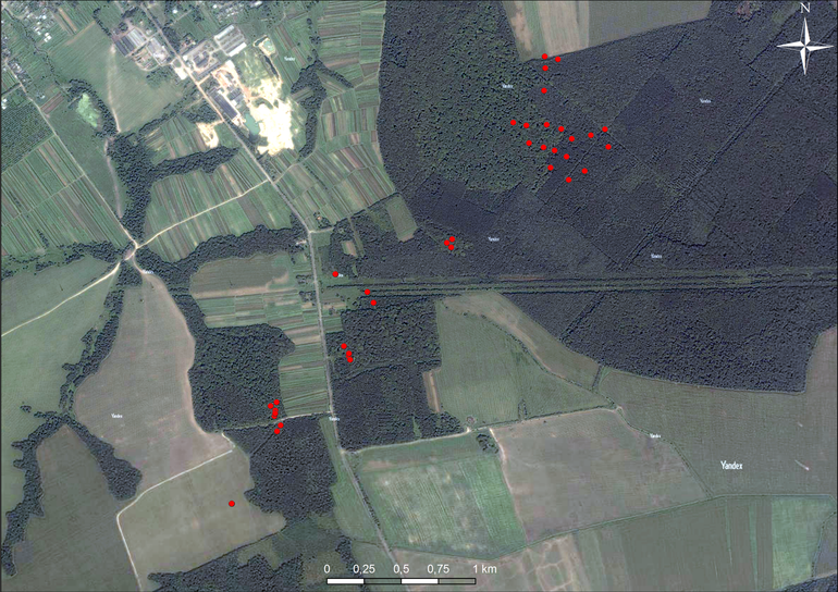 Daszawa. Usytuowanie kurhanów na mapie satelitarnej (Yandex)