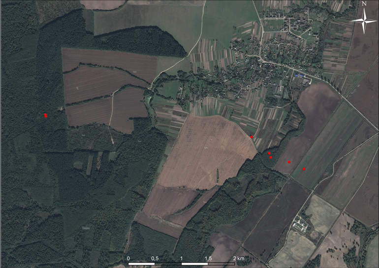 Kawsko. Usytuowanie cmentarzyska na mapie satelitarnej (Yandex)