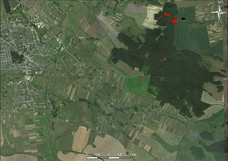 Okniany. Usytuowanie cmentarzyska na mapie satelitarnej (Yandex)