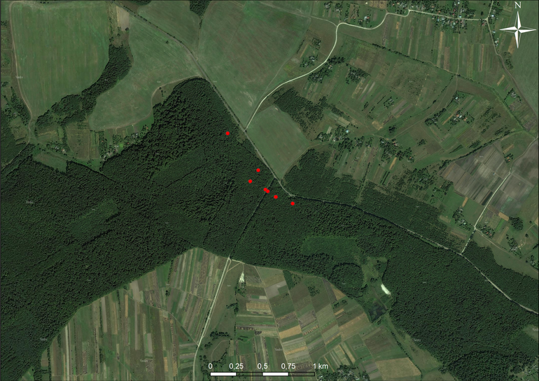 Sarniki. Usytuowanie cmentarzyska na mapie satelitarnej (Yandex)