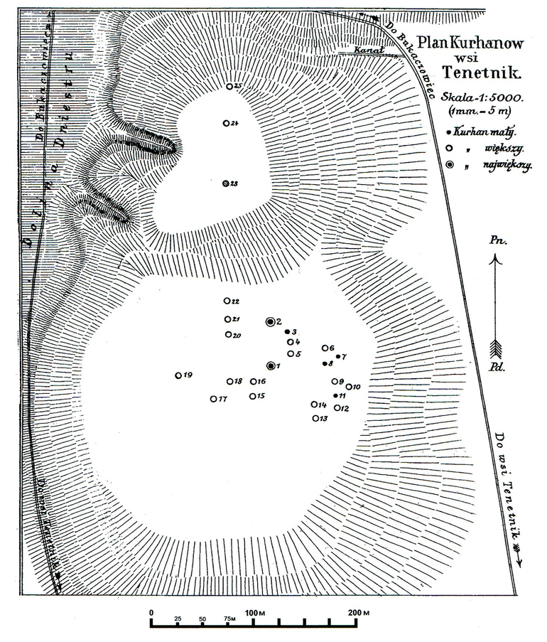 Tenetniki. Usytuowanie kurhanów badanych przez G. Ossowskiego w 1889  r. (wg Ossowski 1890)