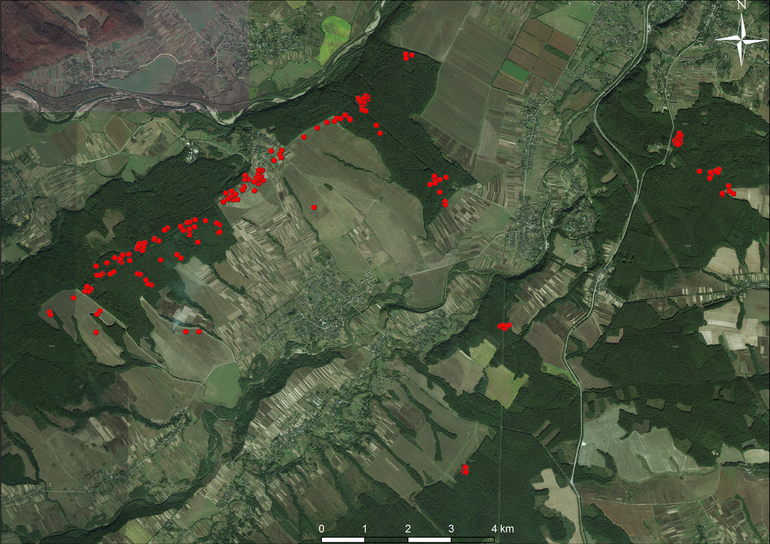 Комарів, Крилос, Мединя і Вікторів. Розташування могильників на супутниковому знімку (Yandex)