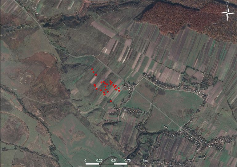 Тенетники. Локалізація могильника на супутниковому знімку (Yandex)